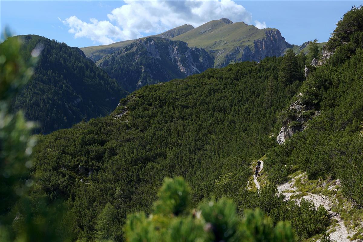 Ciclismo de montaña