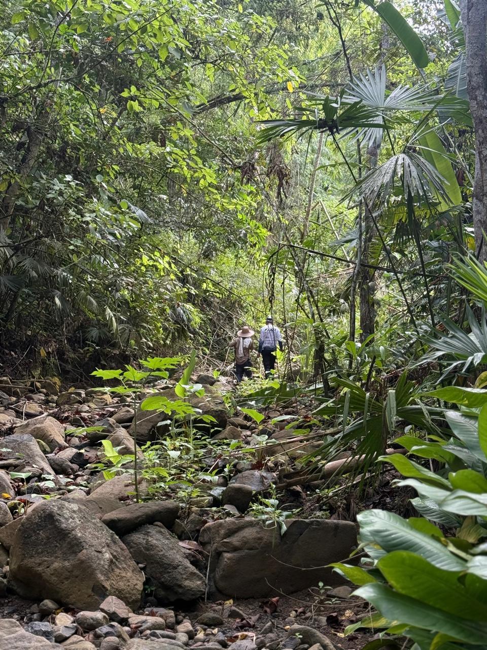 River trekking entre piedras